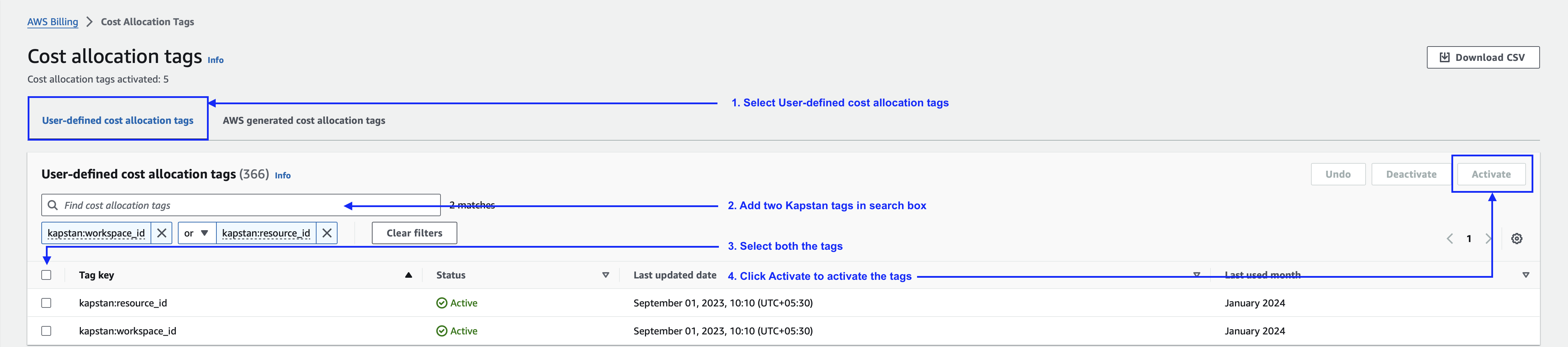 Activating Cost Allocation Tags